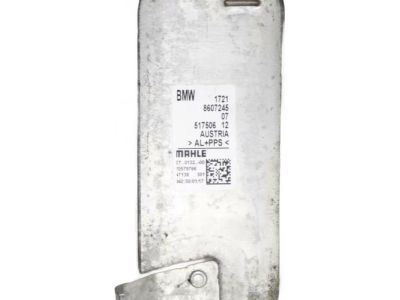 BMW 17218607245