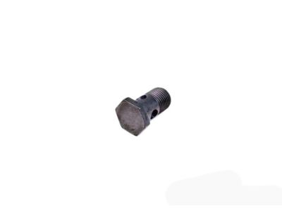 BMW 32416852470 Hollow Bolt