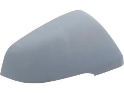 BMW X1 Mirror Cover - 51167386568