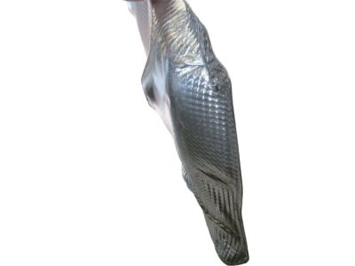 51487328628 BMW Heat Insulator Rear Silencer Product Photo 5 of 7