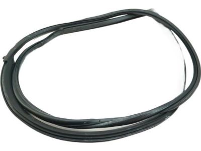 BMW 630CSi Weather Strip - 51211861501