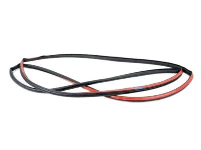 BMW 51337289609 Door Weatherstrip, Front