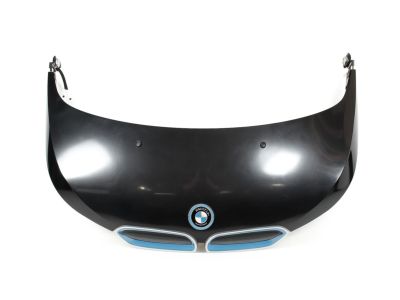 BMW 51237299168