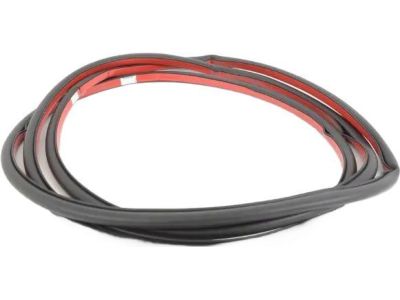 BMW X5 Weather Strip - 51767220381