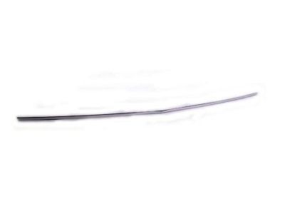 BMW 51131804113 Trim Strip