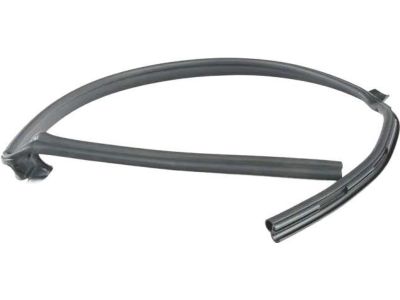 BMW X1 Weather Strip - 51767329384