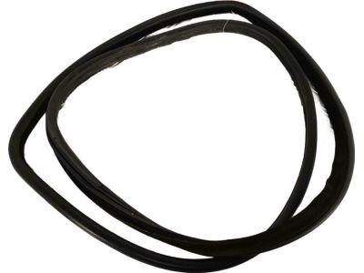BMW X5 Weather Strip - 51767220382