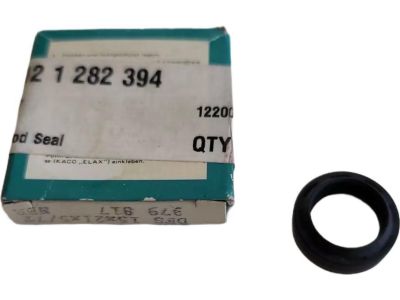 BMW 23121282394
