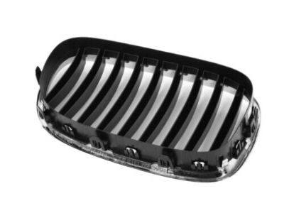 BMW 51117295297 Grille, Front, Left