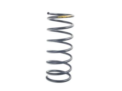 BMW Coil Springs - 31331126024