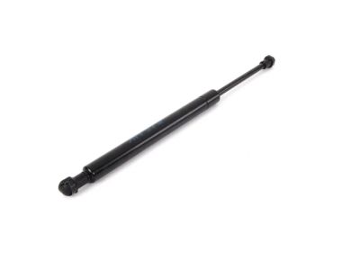 BMW 325Ci Body Door Lift Support - 51248254281