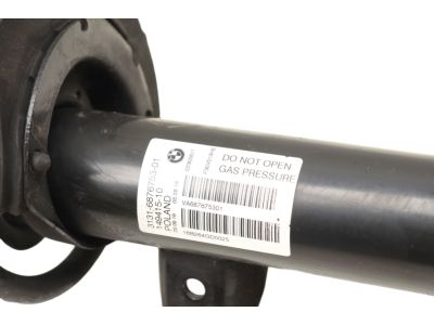 31316876753 BMW Front Spring Strut Product Photo 4 of 4