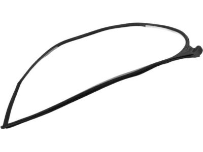 BMW 330Ci Weather Strip - 51717161691