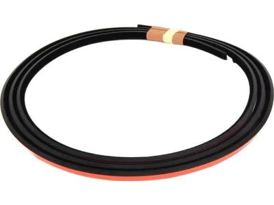 2006 BMW X5 Weather Strip - 54137064664