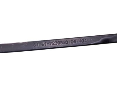 BMW 61619465063