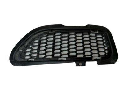 BMW 51118038093 Grid Lateral Right