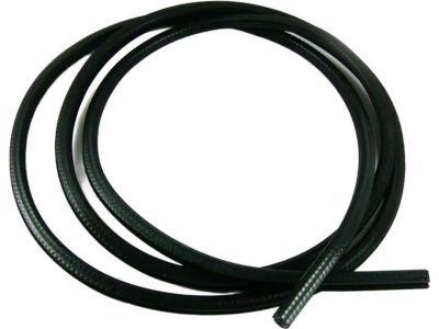BMW 750iL Weather Strip - 54128101158