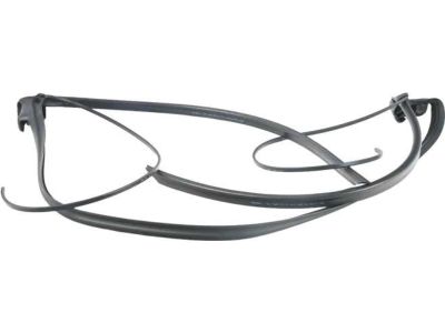 BMW 335is Weather Strip - 51767119111