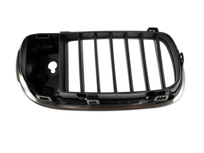 BMW 51118056325