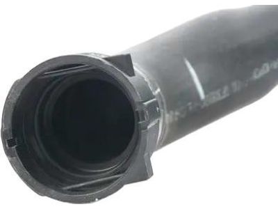 BMW 17127589728