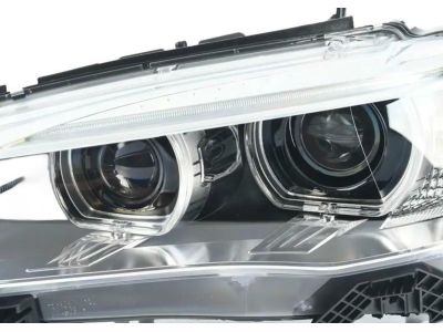 BMW 63117317109