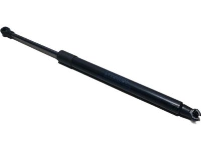 BMW 230i Lift Support - 51247304556