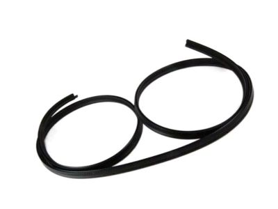 BMW 325e Weather Strip - 51711884149