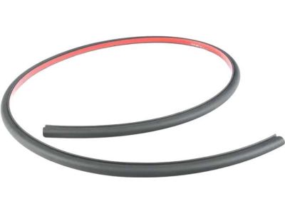 BMW 428i xDrive Gran Coupe Door Seal - 51767310234