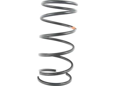 BMW 320i Coil Springs - 31331124122