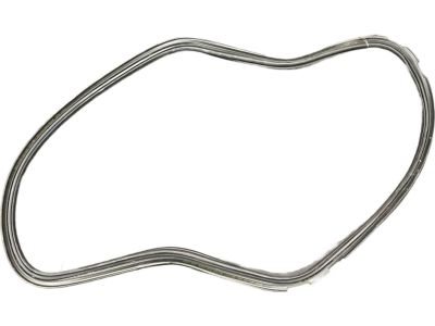 BMW X1 Weather Strip - 51767474449