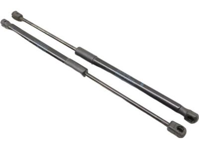 BMW Lift Support - 51237329410
