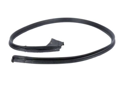 BMW 633CSi Weather Strip - 51211843924