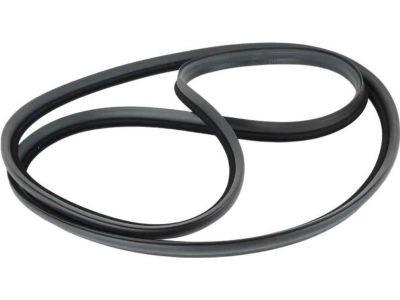 BMW 525iT Weather Strip - 51718120173