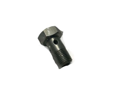 BMW 07119907291 Hollow Bolt