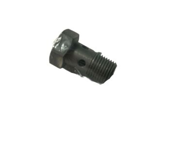 BMW 07119907291 Hollow Bolt