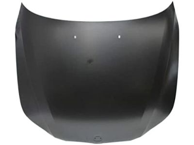 BMW 41617111385 Hood