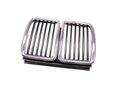 51131945877 BMW Grille Center Product Photo 1 of 1