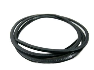 BMW Weather Strip - 54121903725