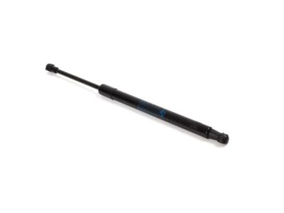BMW 335i xDrive Trunk Lid Lift Support - 51247250308