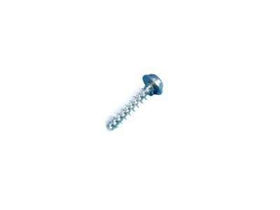 BMW 51169158228 Fillister Head Screw