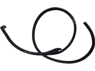 BMW 325i Door Seal - 51718176276