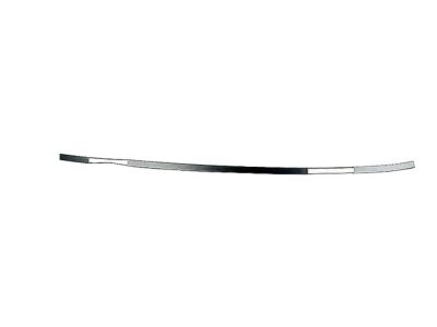 BMW 54218228949 Roof Moulding Prime-Coated Left