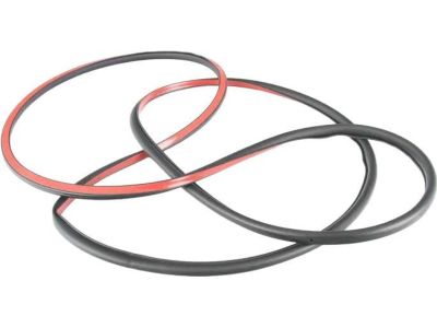 BMW X6 M Weather Strip - 51767317852