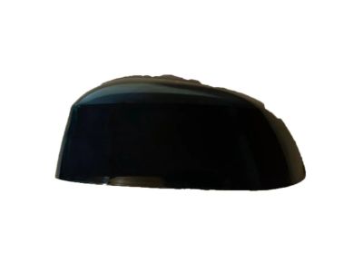 BMW X1 Mirror Cover - 51167386567