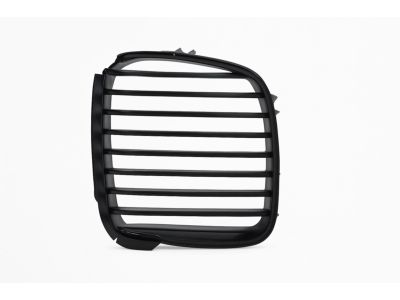 51138159316 BMW Grille Right Product Photo 3 of 3