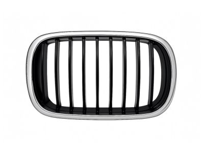 51138159316 BMW Grille Right Product Photo 1 of 3