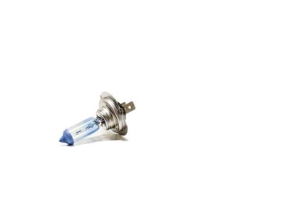 BMW 63112338076 Blue Halogen Bulbs