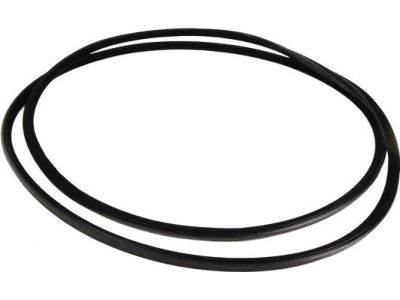 BMW 330Ci Weather Strip - 54138218001