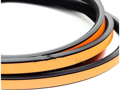 54128169710 BMW Circul. Sliding/Lifting Roof Cover Gasket Product Photo 3 of 6