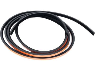 54128169710 BMW Circul. Sliding/Lifting Roof Cover Gasket Product Photo 2 of 6